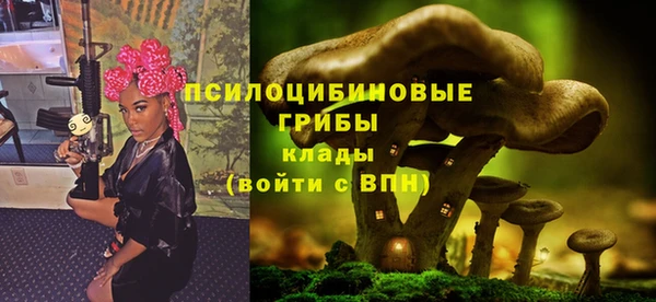 спиды Белокуриха