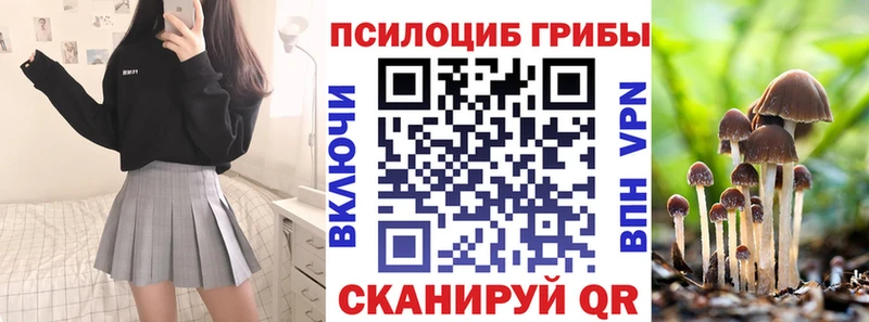 Псилоцибиновые грибы Cubensis Сегежа