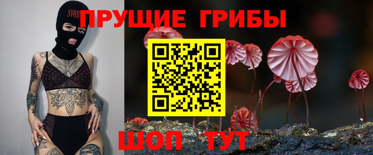 Галлюциногенные грибы прущие грибы Сегежа